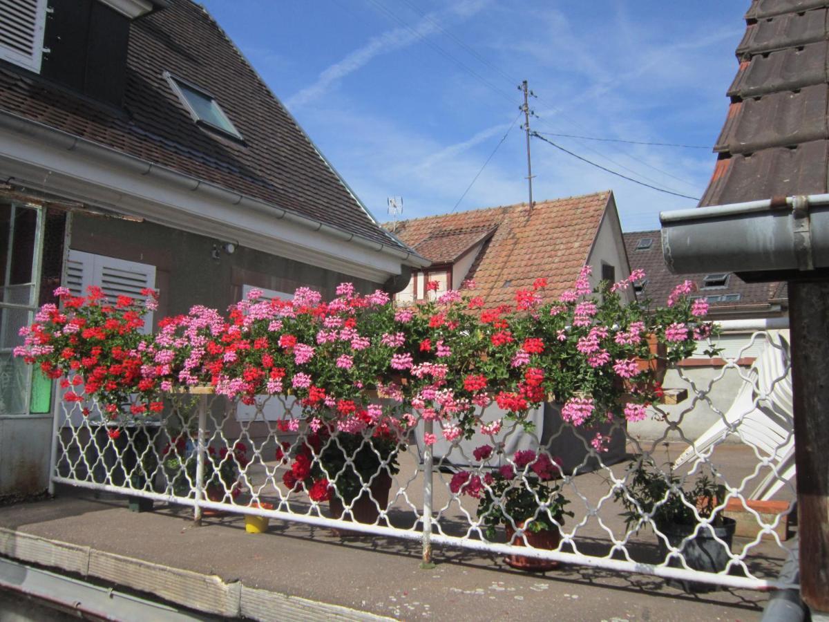 Gite Faubourg Des Pierres Sigolsheim Buitenkant foto